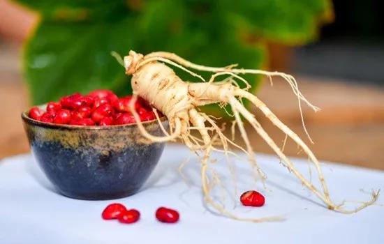 文登西洋参园,天福山文登