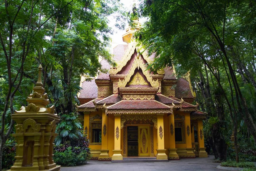 打卡中老铁路,曼听公园网红打卡景点