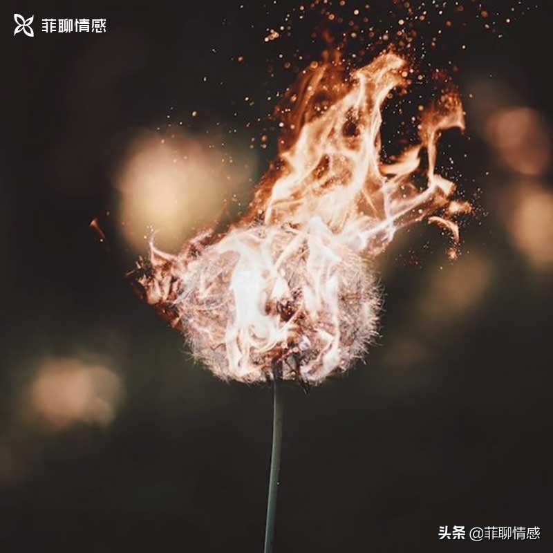 伤害一个人怎么去挽回她,伤害了对象怎么挽回他