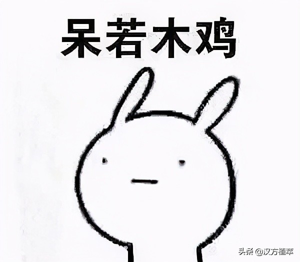 伤口撒盐和撒糖哪个疼,伤口撒盐能消毒吗