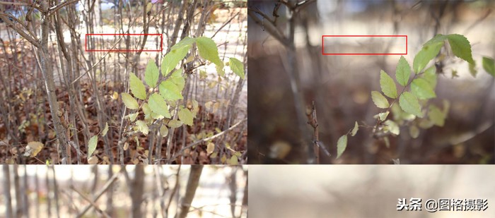 永诺35mmf14评测,永诺35mmf1.4uwm评测