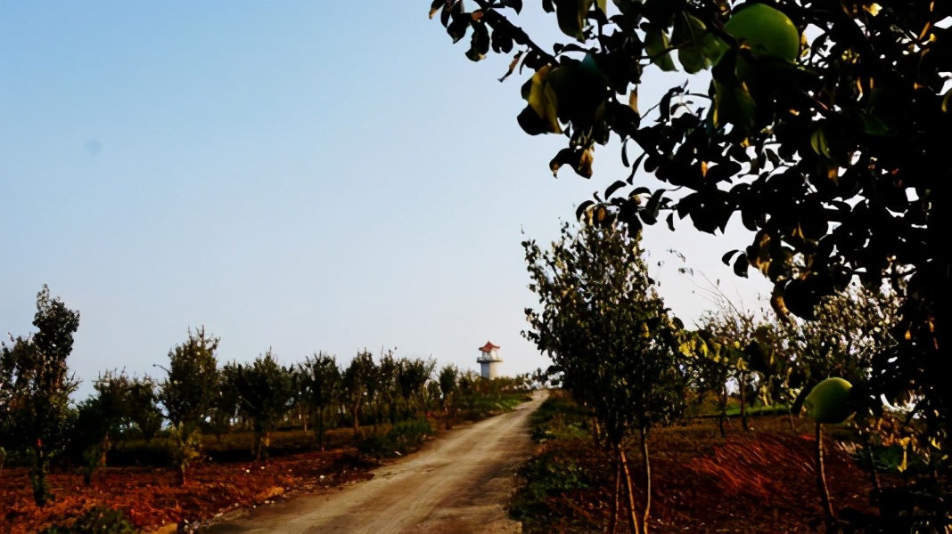 创业女性80后,浙江80后女人创业案例