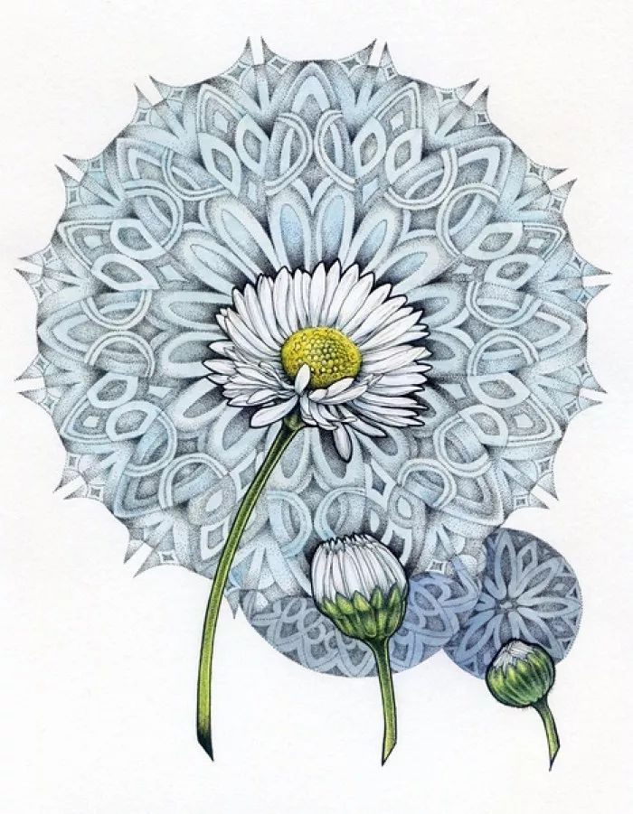 简单针管笔手绘花,简单易学针管笔手绘