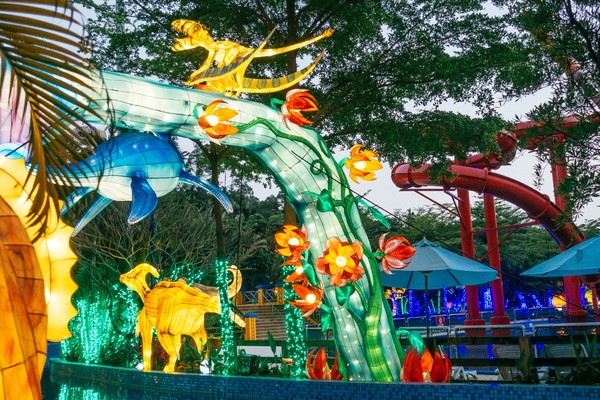 广州长隆旅游攻略自由行详细,广州长隆五一节3天2夜亲子游攻略