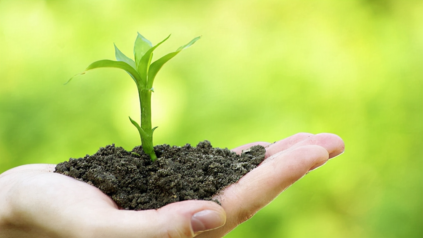 教师节你对老师的印象是什么,教师节印象最深的是哪个