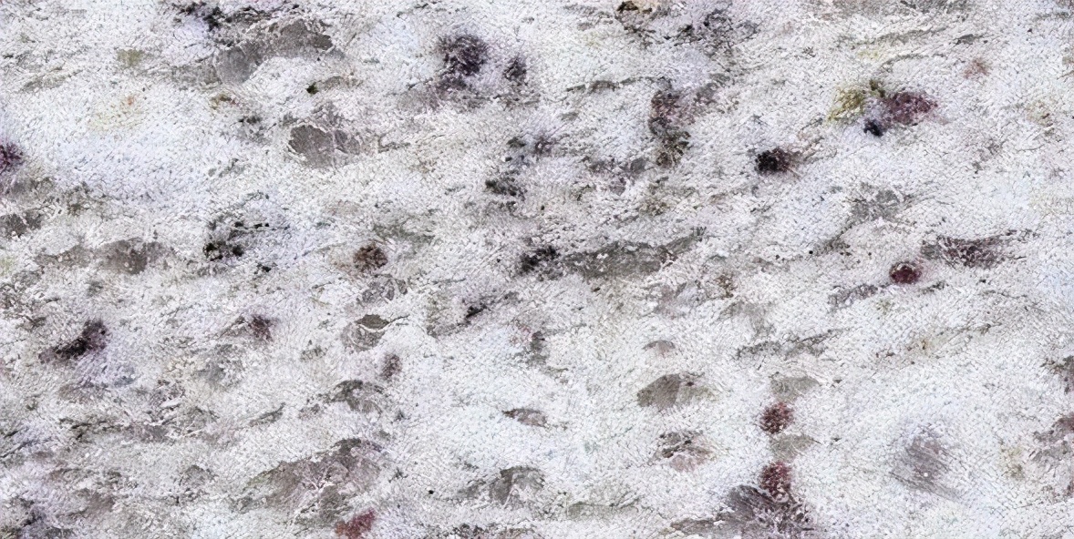 流行花岗岩石材图片大全新款,庭院花岗岩石材和石英石石材