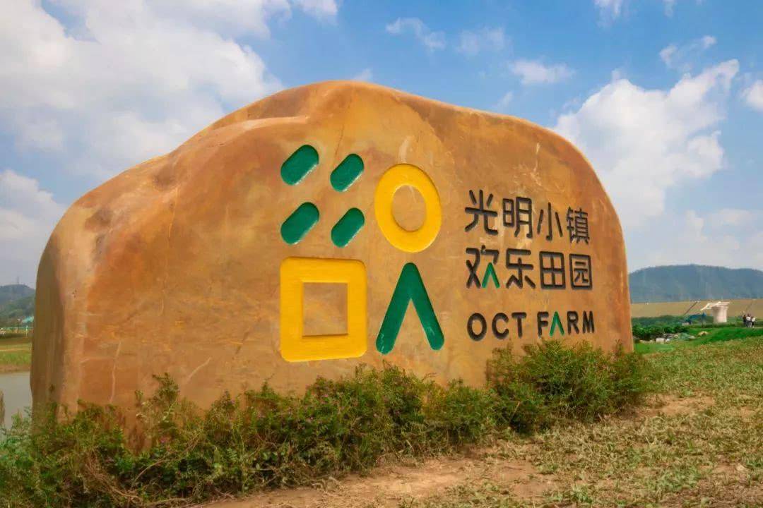 落户深圳哪个区比较好呢,落户深圳推荐哪个区