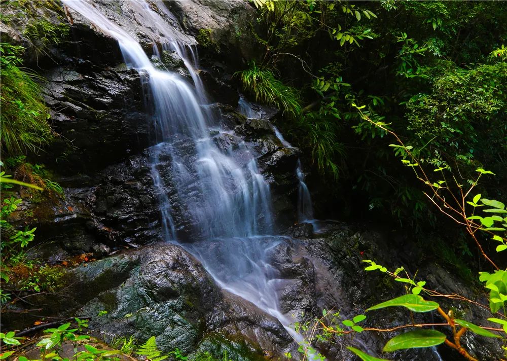 花一个周末时间去玩,花一个周末去苏州是什么体验