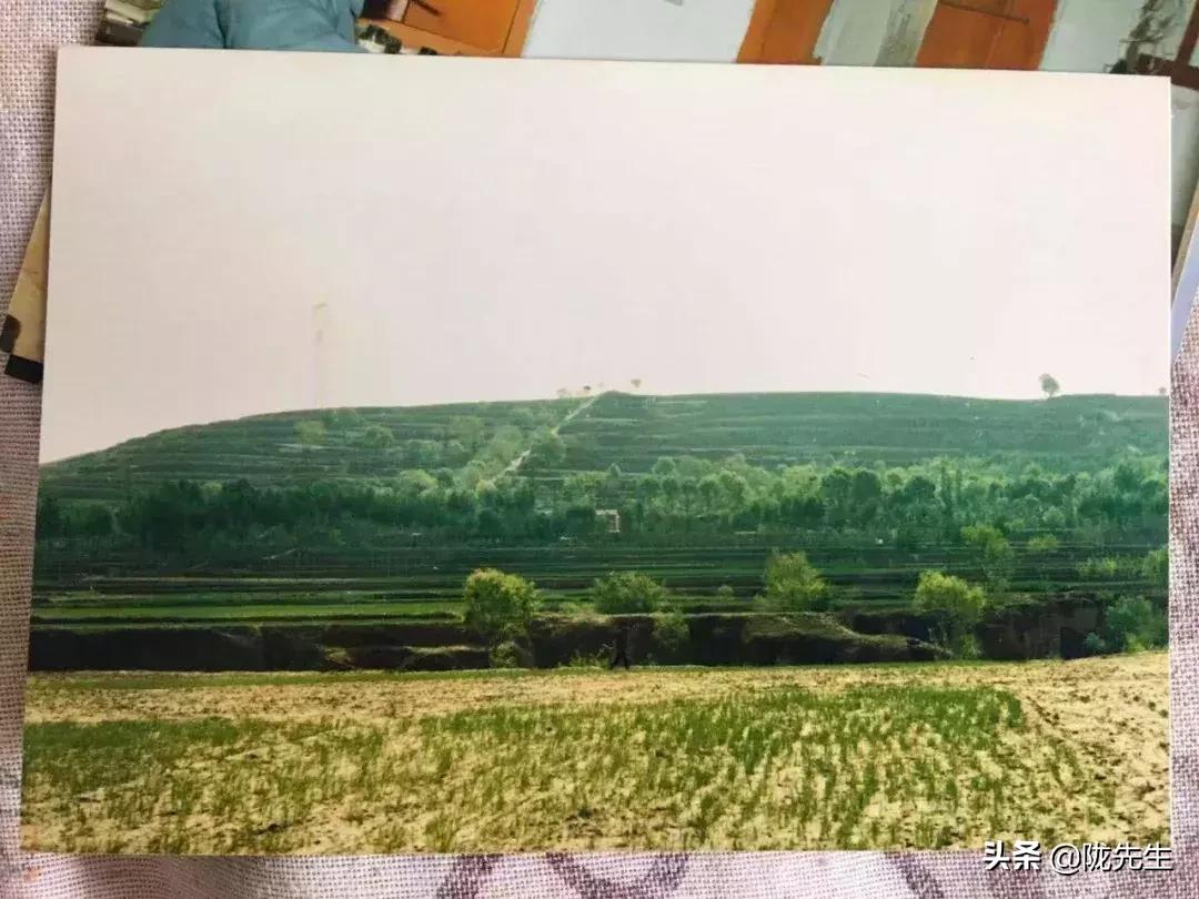 万里长城西起临洮东至辽东,西起临洮东至辽东的万里长城