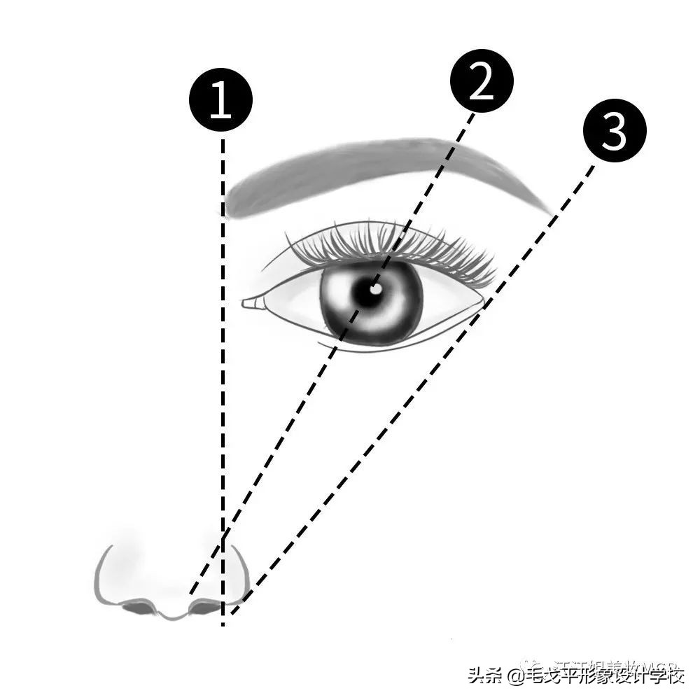 为什么眉毛稍不注意就画成平眉,画眉毛总是高低眉怎么办