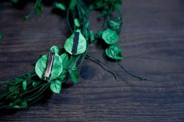 深山老林自建豪华木屋隐居生活,90后小情侣隐居深山建别墅仅花6万