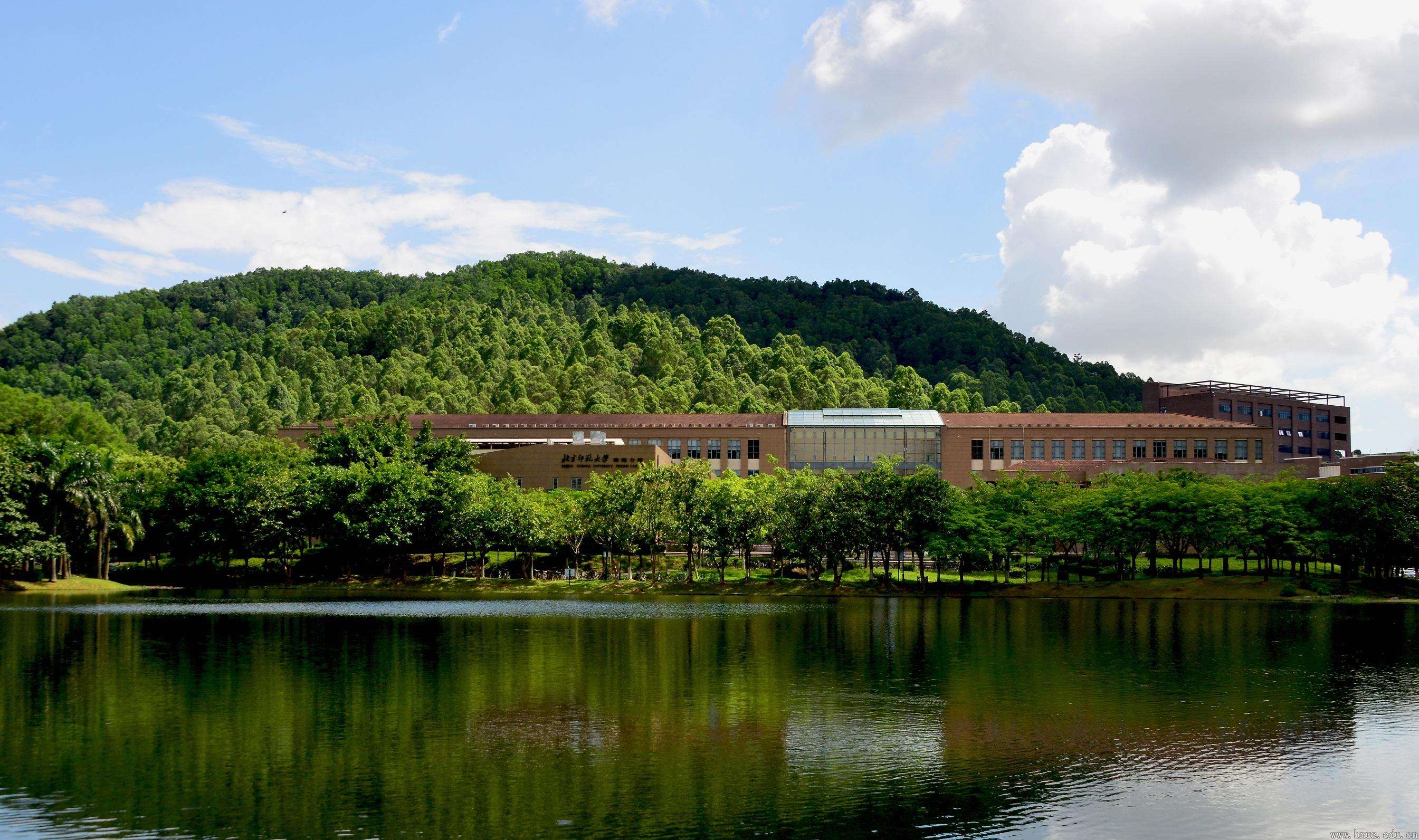 四川艺术平行志愿录取规则,艺术类志愿录取顺序