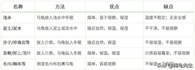 乌龟浅水冬眠和深水冬眠的区别,龟加温过冬和冬眠的区别