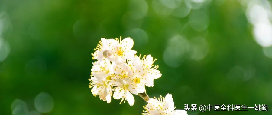 五脏虚阴阳虚,五脏虚了要怎么补