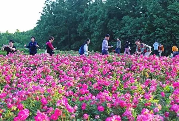 淮南舜山比赛,淮南舜耕山自行车越野