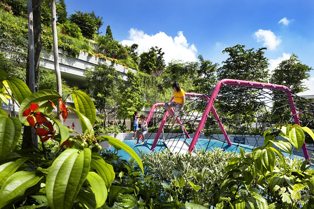 漫步绿树成荫的街道,绿树成荫环境怡人小区