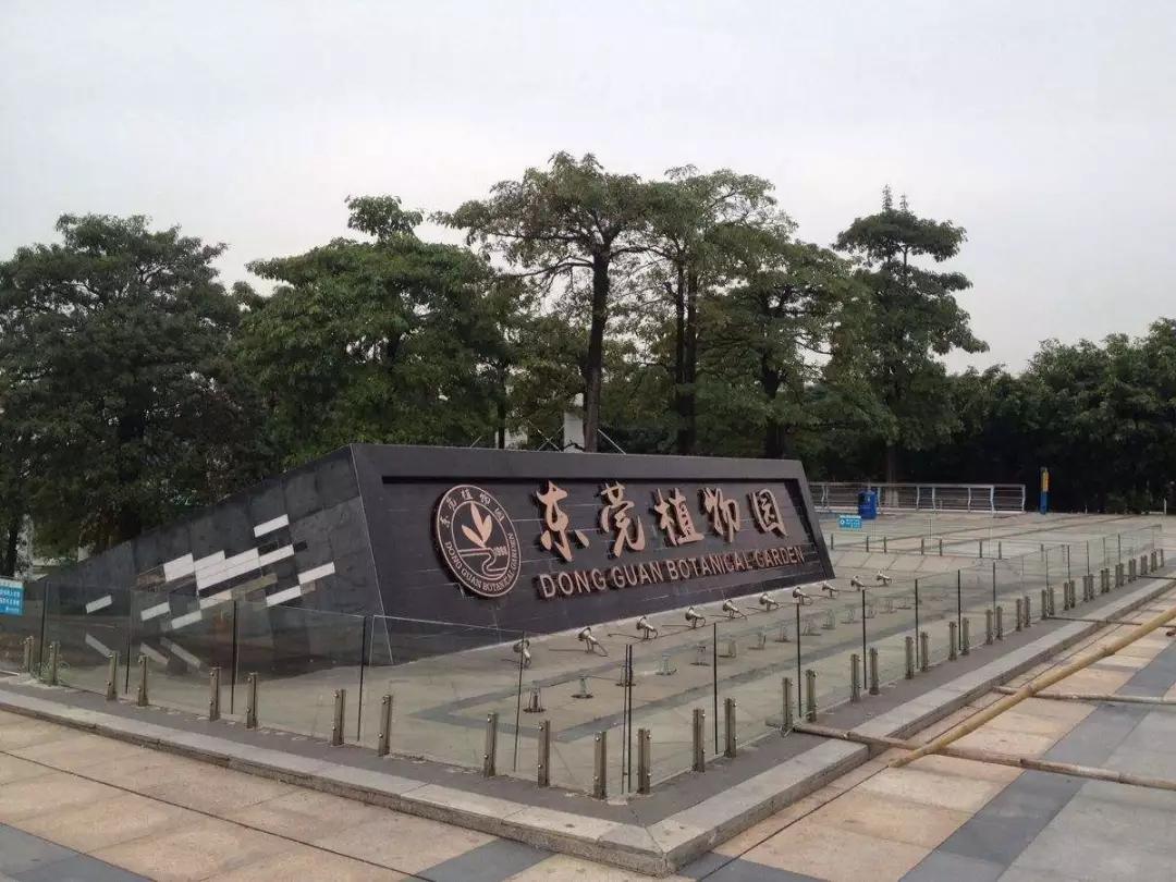 春节深圳周边自驾游攻略,深圳观澜春节十大免费景点