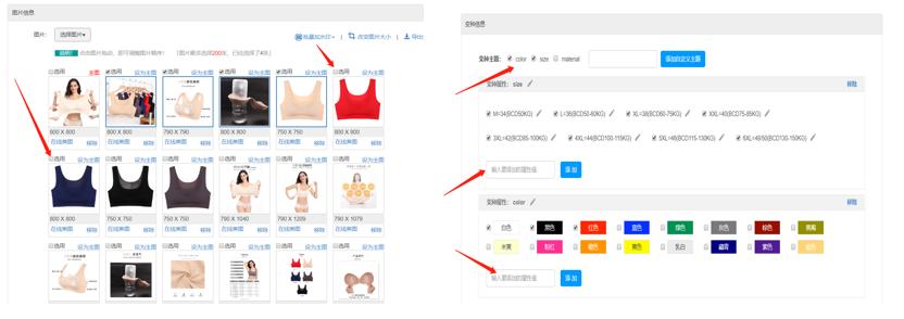 shopify建站之主题选择和logo制作,shopify独立站建站视频教程