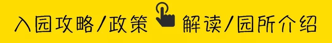 深圳超高性价比的国际学校！一年学费6万多，可从幼儿园直升高中