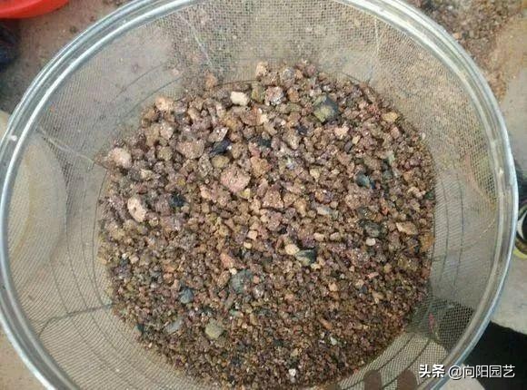 蜂窝煤可以当多肉颗粒土使用吗,蜂窝煤煤渣和松针土养多肉的效果