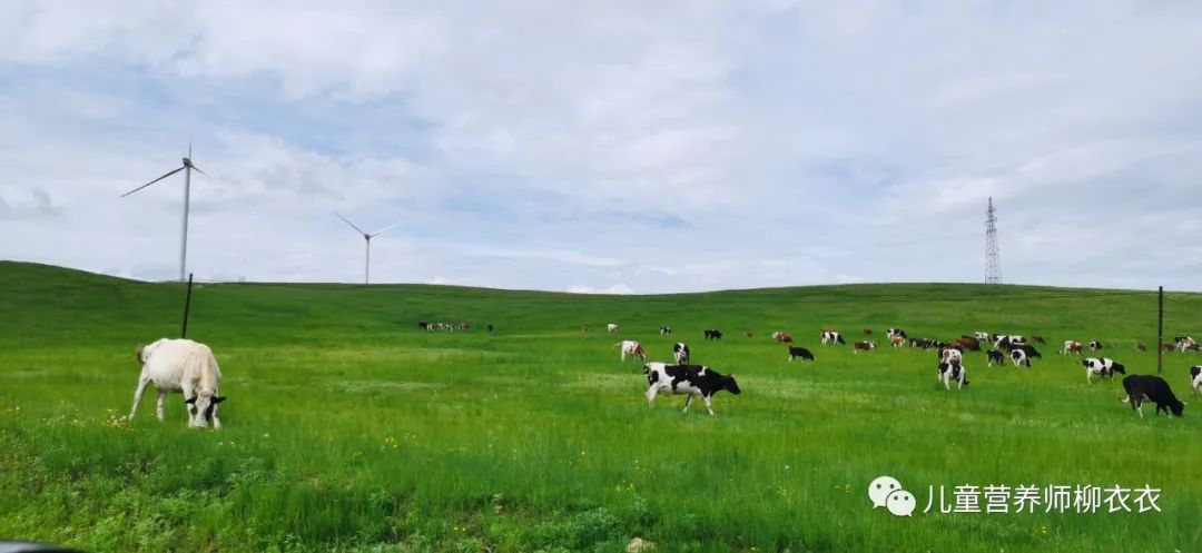 暑假带孩子内蒙古旅游攻略,暑期内蒙古亲子游鄂尔多斯