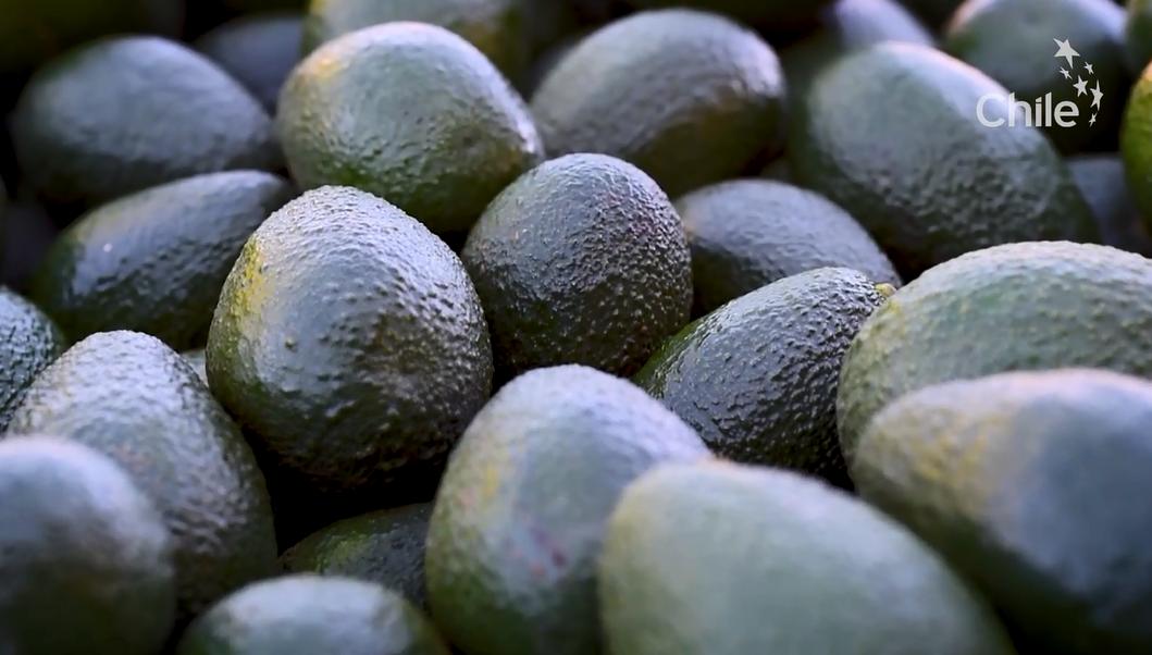 从南美的秘鲁进口水果到中国,秘鲁牛油果是哪里的