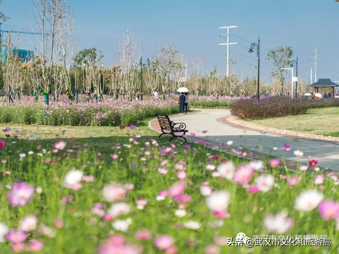 武汉环城绿道,武汉上半年全线贯通的新绿道