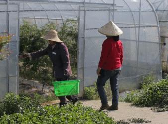 “舌尖上的食堂”系列2，走近常州这家公司的食堂，我特么想辞职