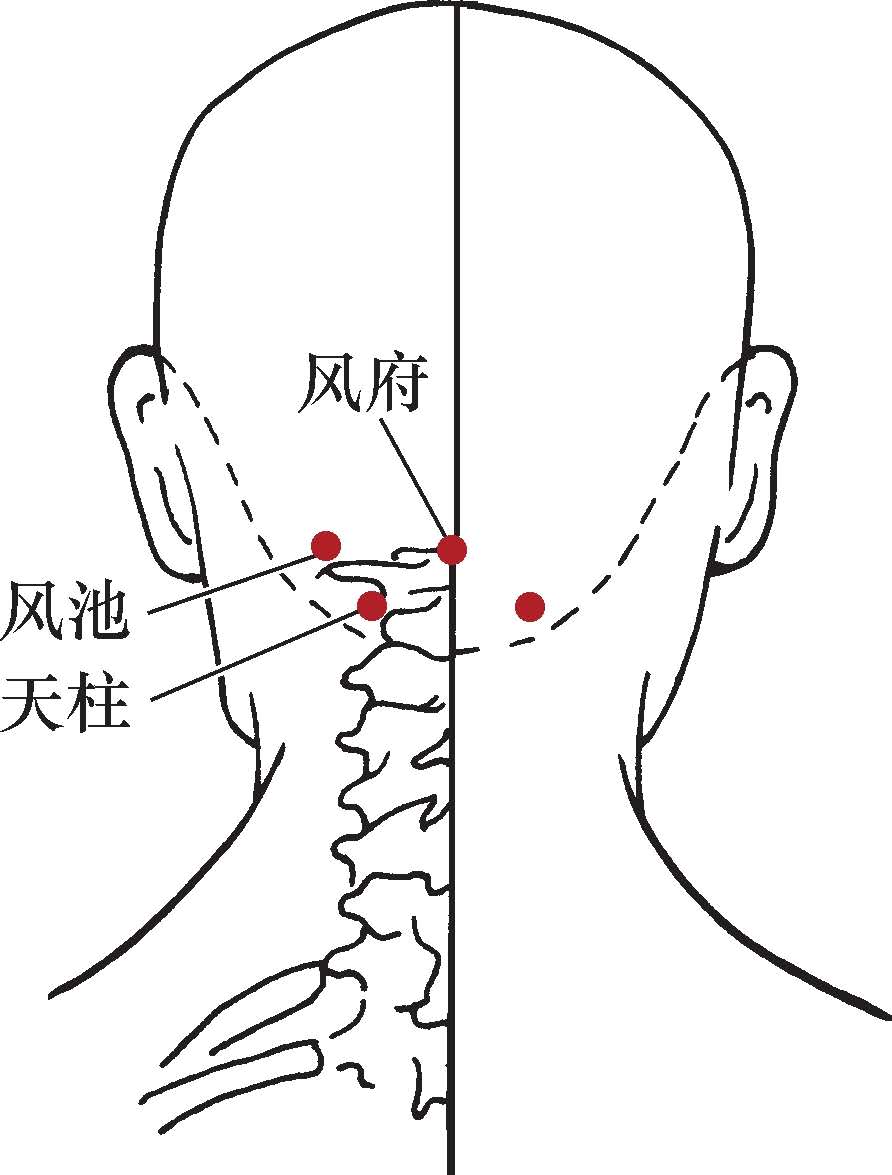 国医大师吕景山视频,吕景山穴位疗法
