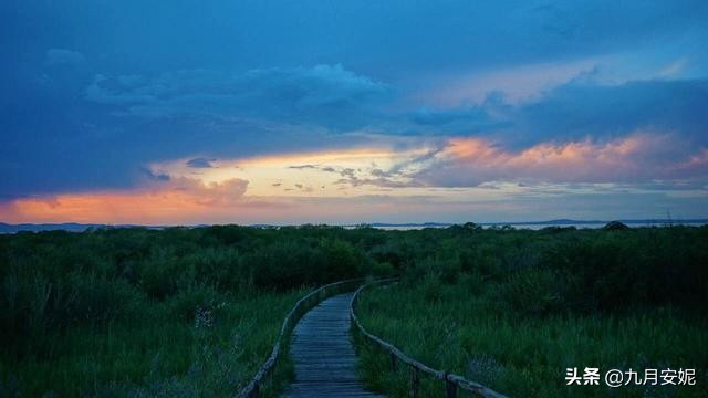 去达里湖看华子鱼洄游,达里诺尔湖华子鱼洄游在哪里