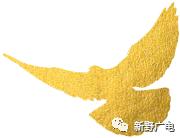 汉城改名原因,新野汉城广场改造