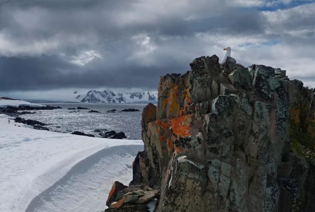 去南极能走出这个世界吗,为什么现在都要去南极
