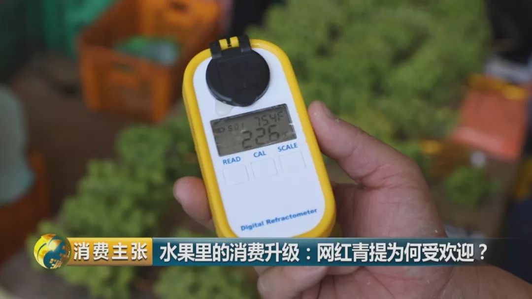 阳光玫瑰葡萄水果中爱马仕,阳光玫瑰葡萄有多贵