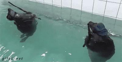 各国秘密间谍行动,各国间谍战有多凶险