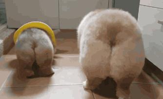 为什么吐舌,宝宝总是吐舌头什么原因