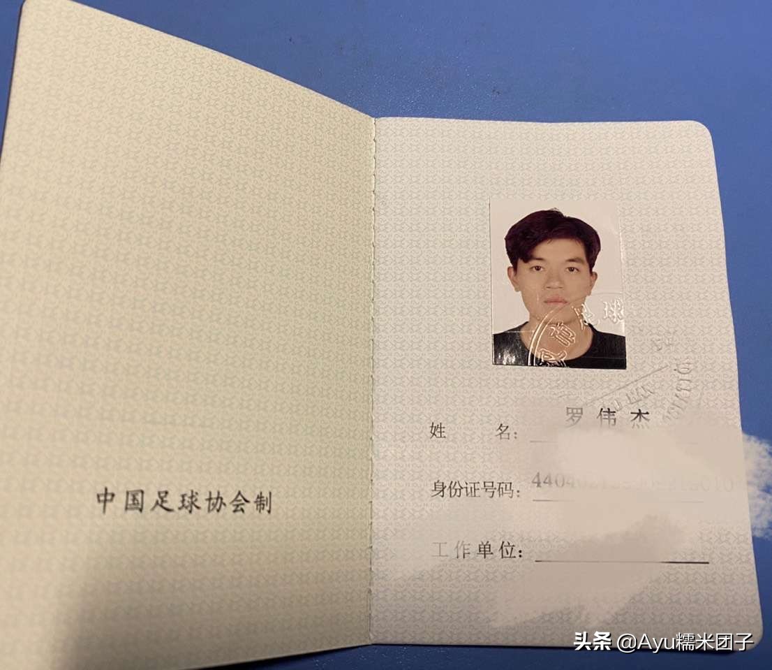 一个足球的自述,足球裁判的心声