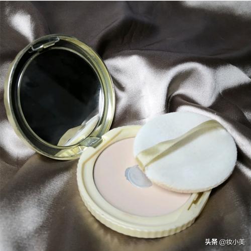 油皮不容易脱妆的散粉或者粉饼,适合干皮的定妆散粉粉饼推荐