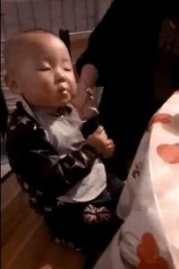 搞笑gif段子你家狗真会玩啊,狗子剃毛恶搞