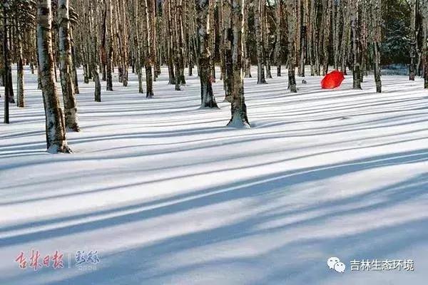 长春南湖日出图,今天的长春南湖