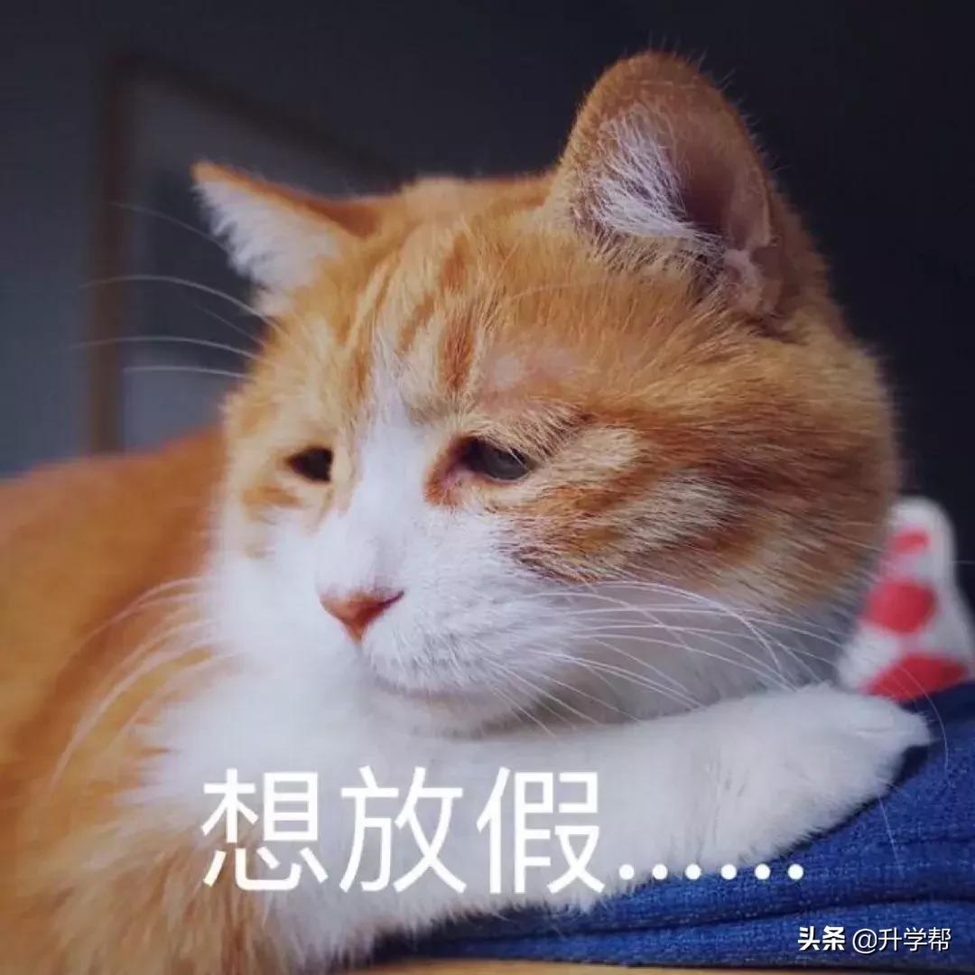 成都五一不限行的温馨提示 (成都五一车辆限行情况)