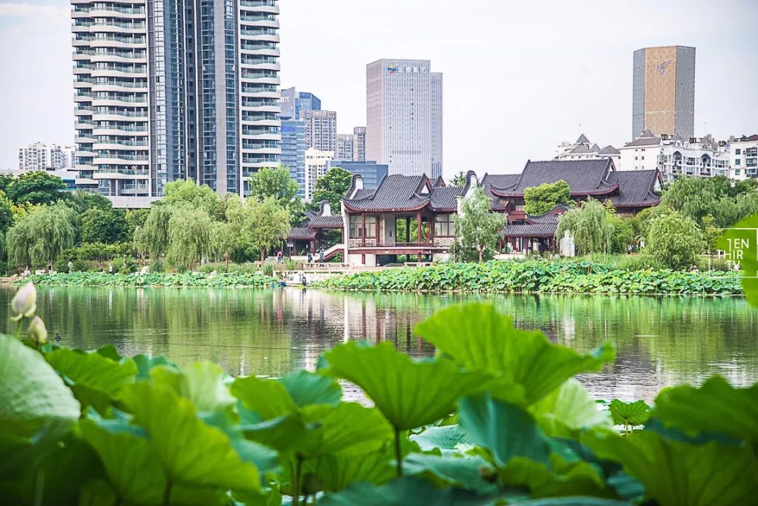 武汉冬季好玩的免费景点,武汉东湖免费景点有哪些