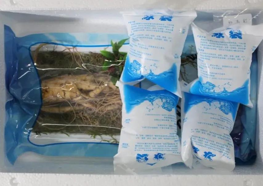 鲜人参几月份上市,新鲜人参上市时间