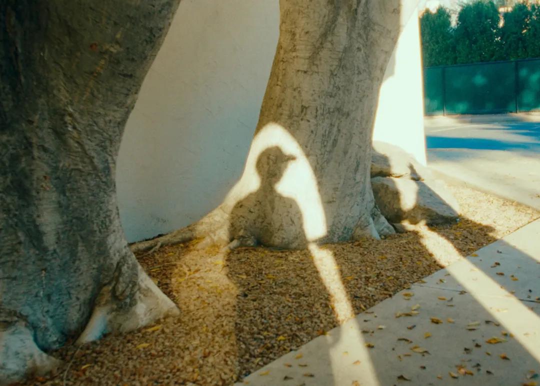 人一生最好的活法有哪些,人这一生最好的活法视频