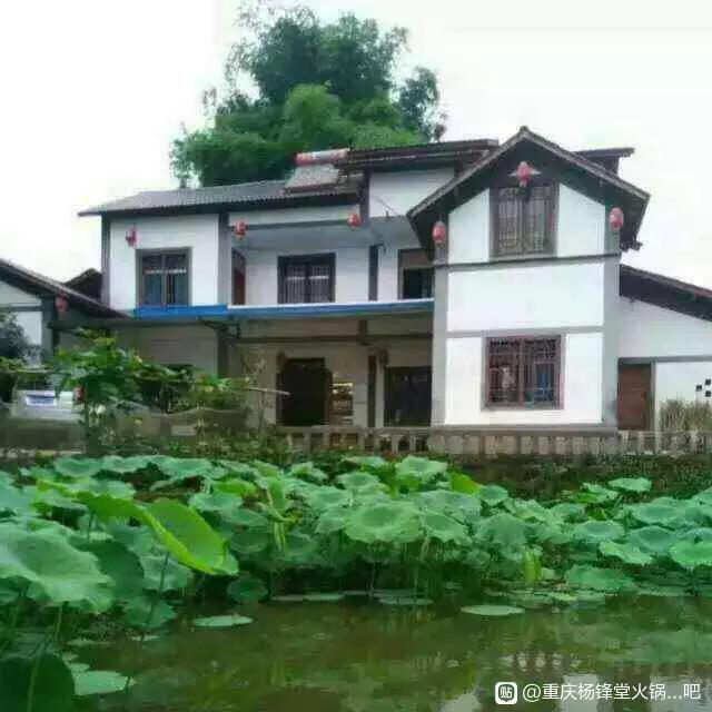 涪陵大顺乡柏树林,涪陵大顺乡柏坪