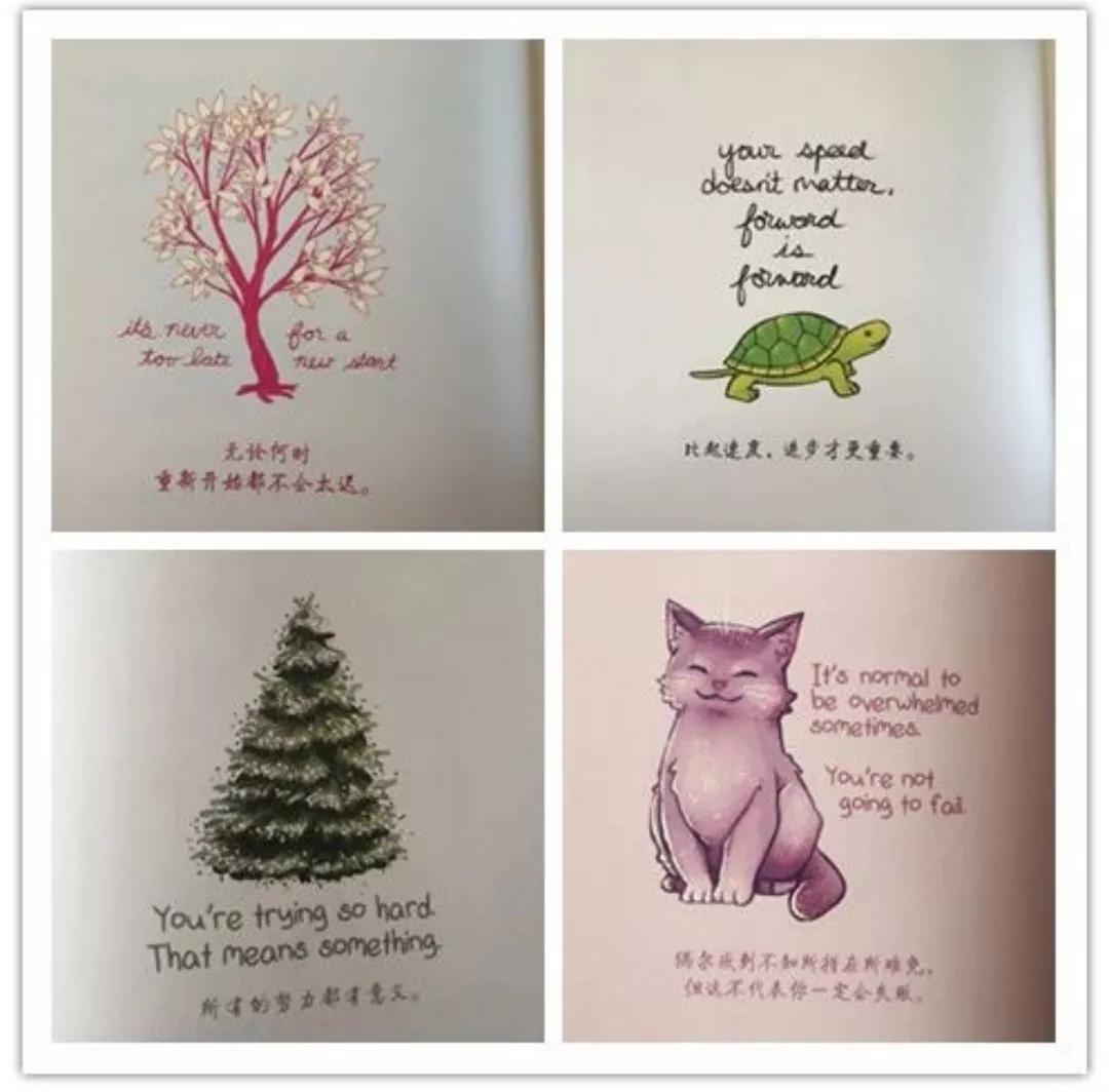 柔软的刺猬健身,柔软的刺猬英文朗读