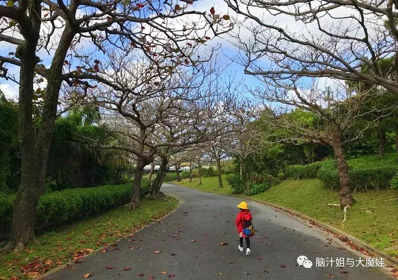 冲绳奥武山公园滑梯,冲绳旅游攻略自由行最新