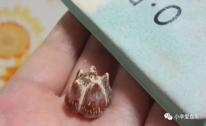 如何判断滴血莲花菩提,滴血莲花菩提怎么区分档次