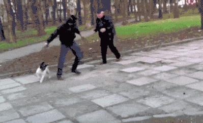 搞笑gif永远不要相信任何人,朋友圈gif背景搞笑