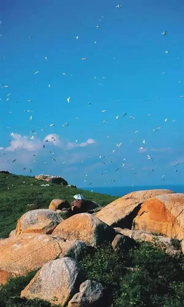 汕头濠江区十大旅游景点,汕头揭阳旅游必去十大景点