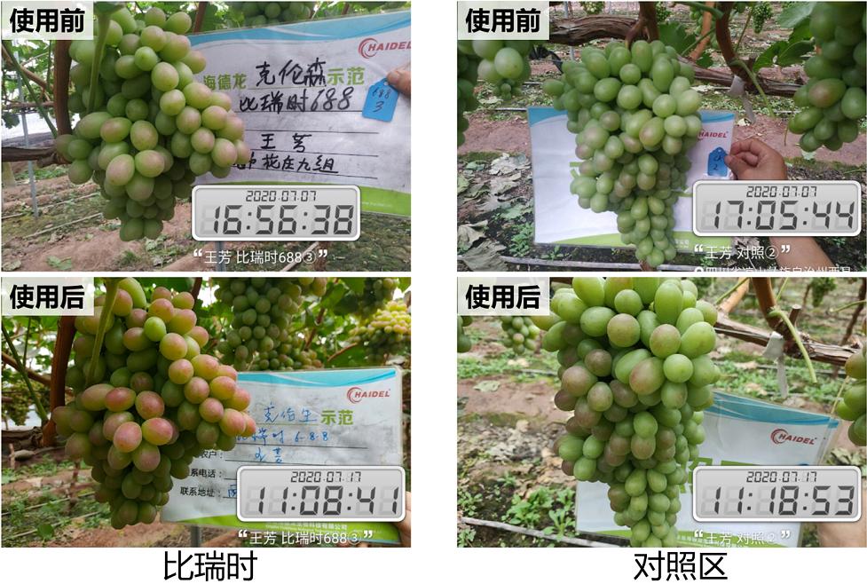 拒绝激素催熟着色，这才是转*界色**的传奇